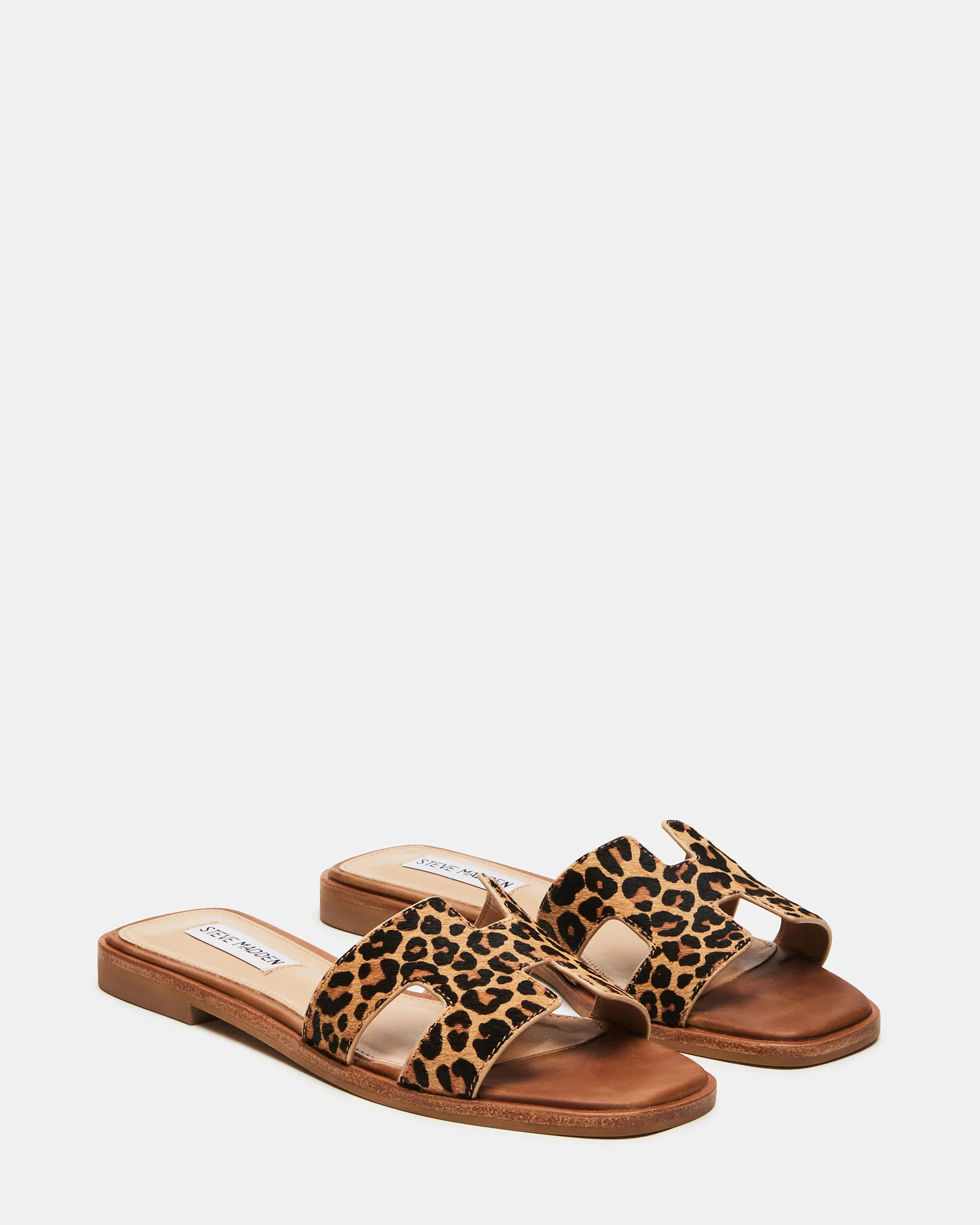 HADYN-L LEOPARD - Image 2