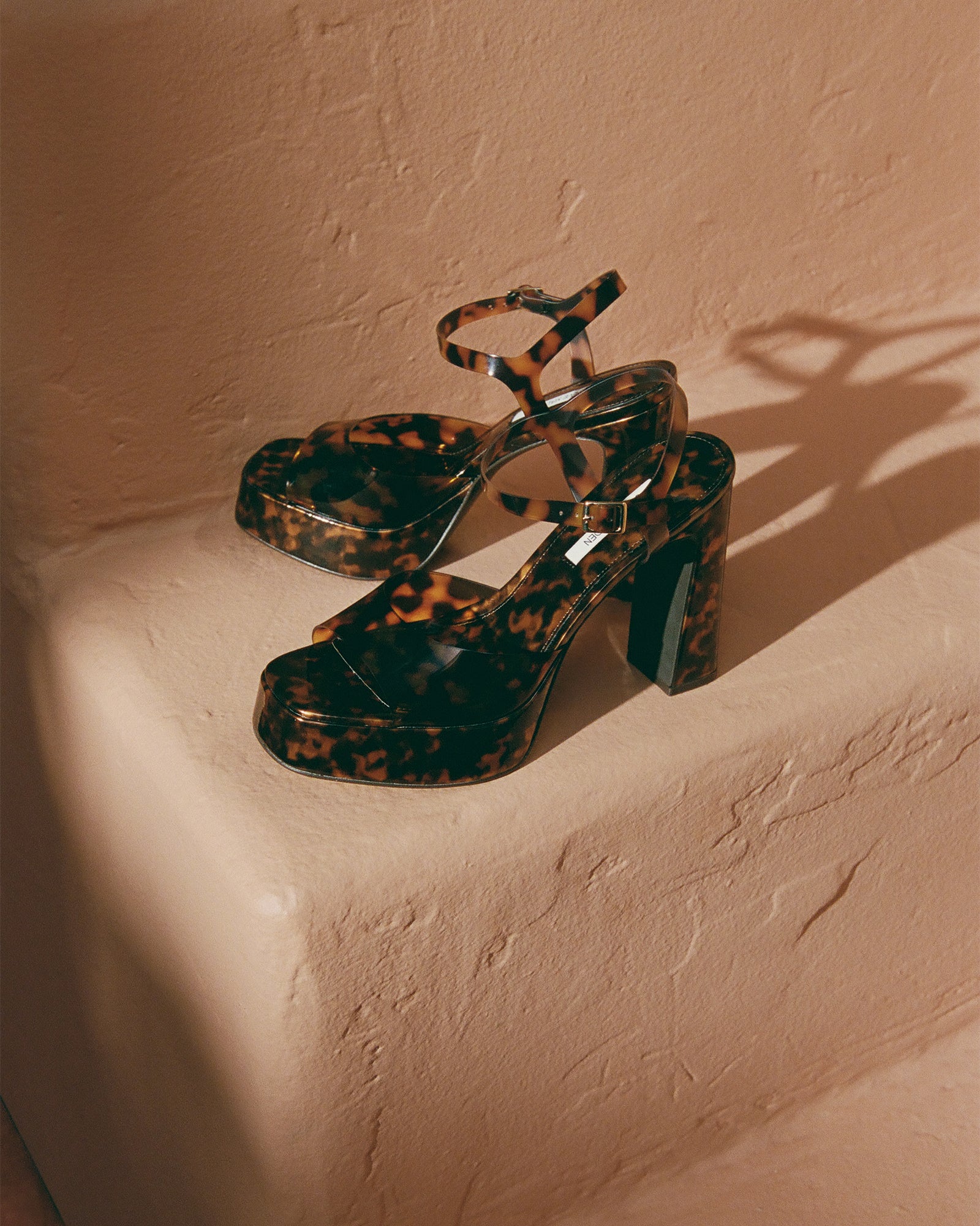 LIANDRA TORTOISE - Image 4