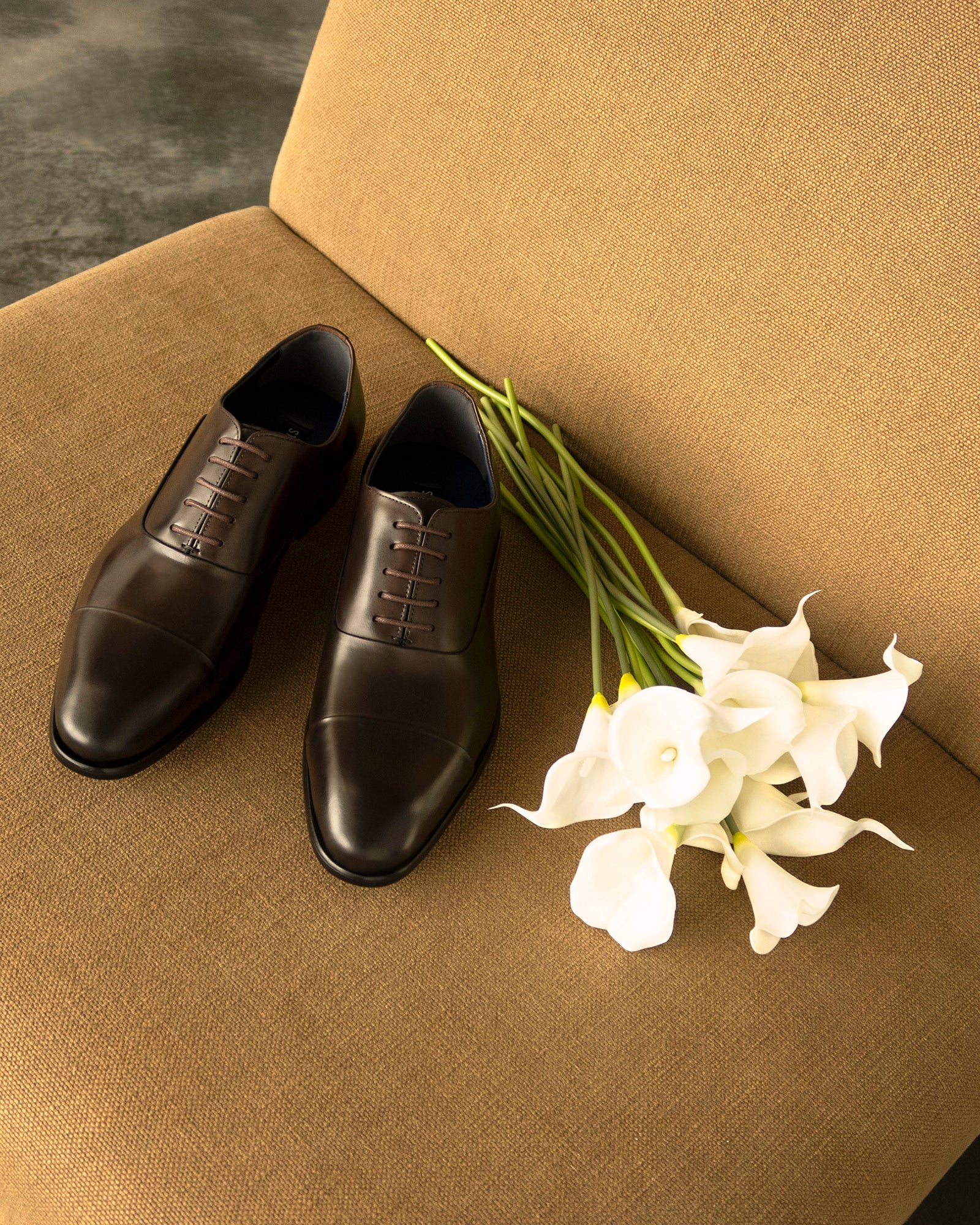 MORIATTI BROWN LEATHER - Image 2